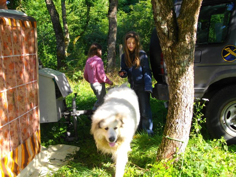 IMGP0723 (Medium).JPG