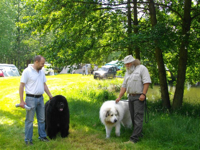 IMGP0731 (Medium).JPG