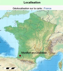 Montfort carte.jpg