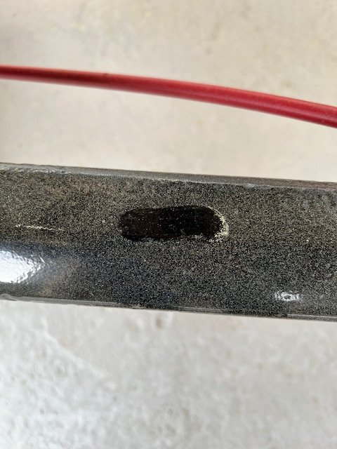 Ce cher pollen de pin...