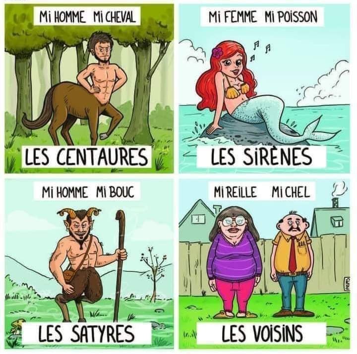 Coucou les Mimis 14.