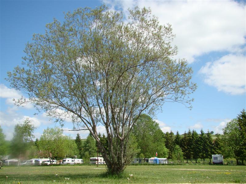 DSC01262 (Medium).JPG