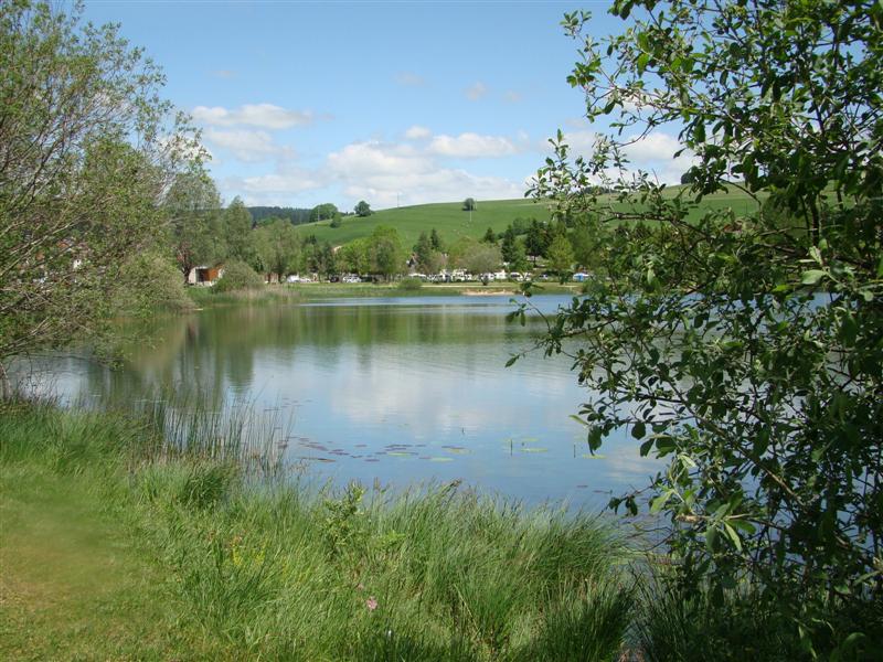 DSC01281 (Medium).JPG