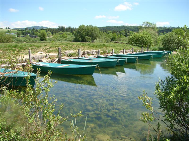 DSC01288 (Medium).JPG