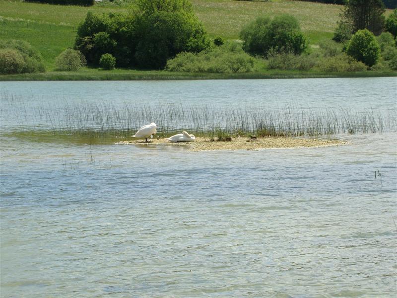 DSC01291 (Medium).JPG