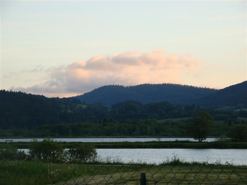 DSC01442 (Medium).JPG