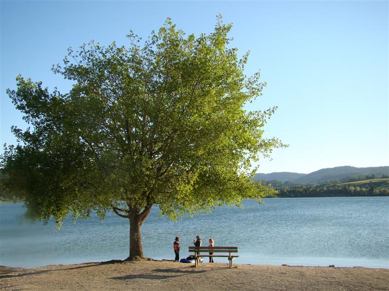 DSC01540 (Medium).JPG