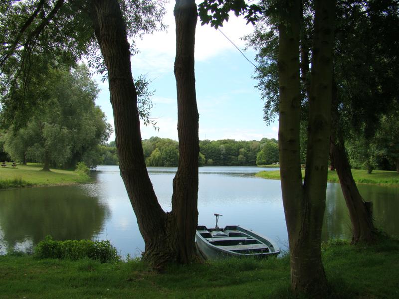 DSC02295 (Medium).JPG