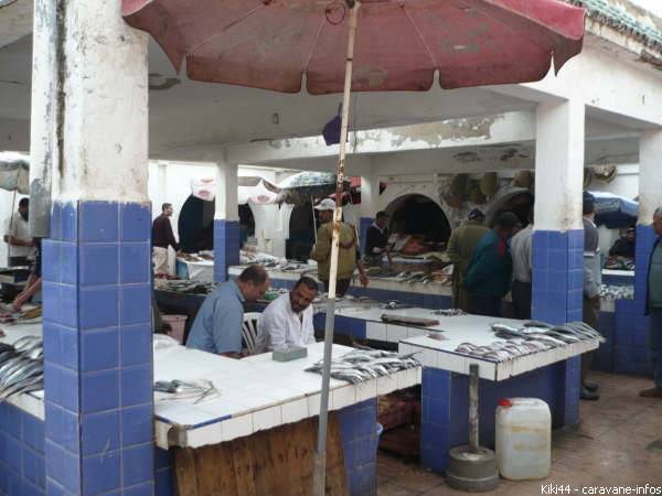 ESSAOUIRA_4.JPG