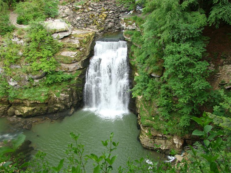 DSC01430 (Medium).JPG