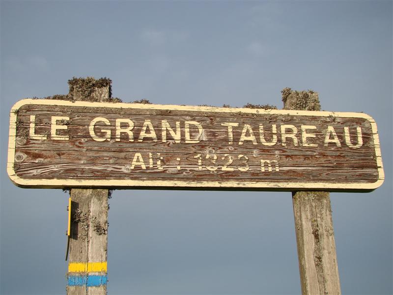 DSC01361 (Medium).JPG