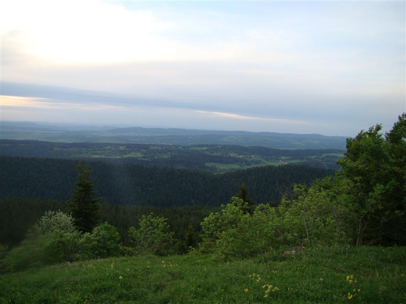 DSC01388 (Medium).JPG