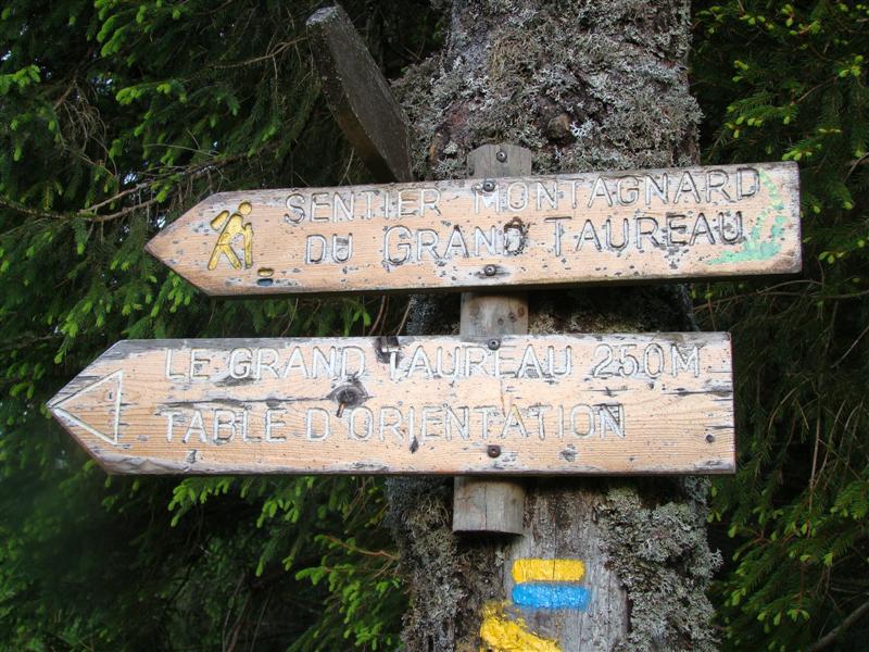 DSC01393 (Medium).JPG