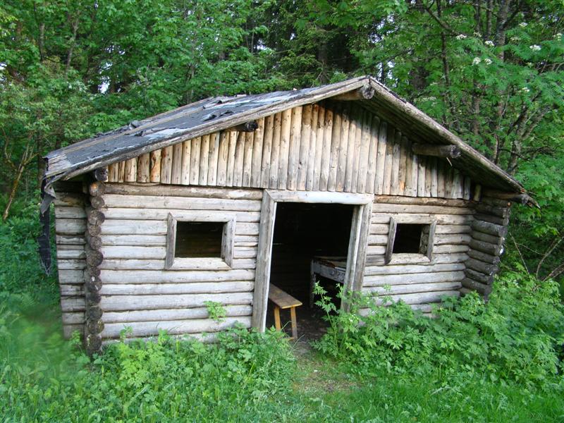 DSC01398 (Medium).JPG