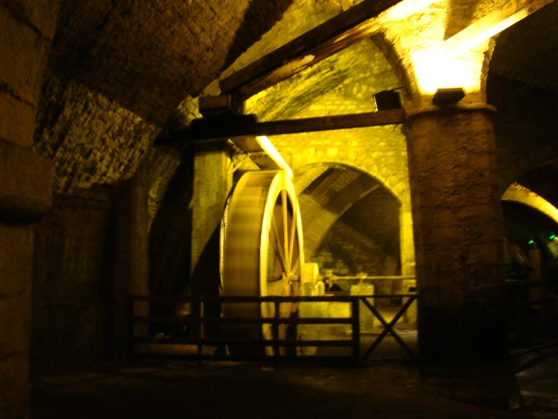 DSC01817 (Medium).JPG