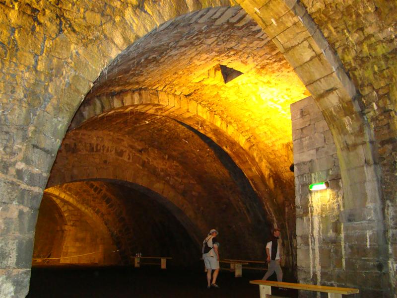 DSC01809 (Medium).JPG