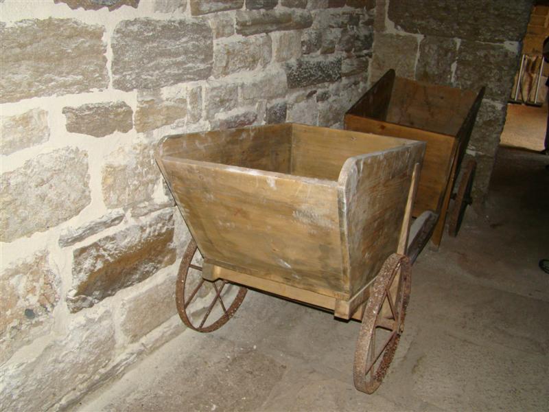 DSC01843 (Medium).JPG