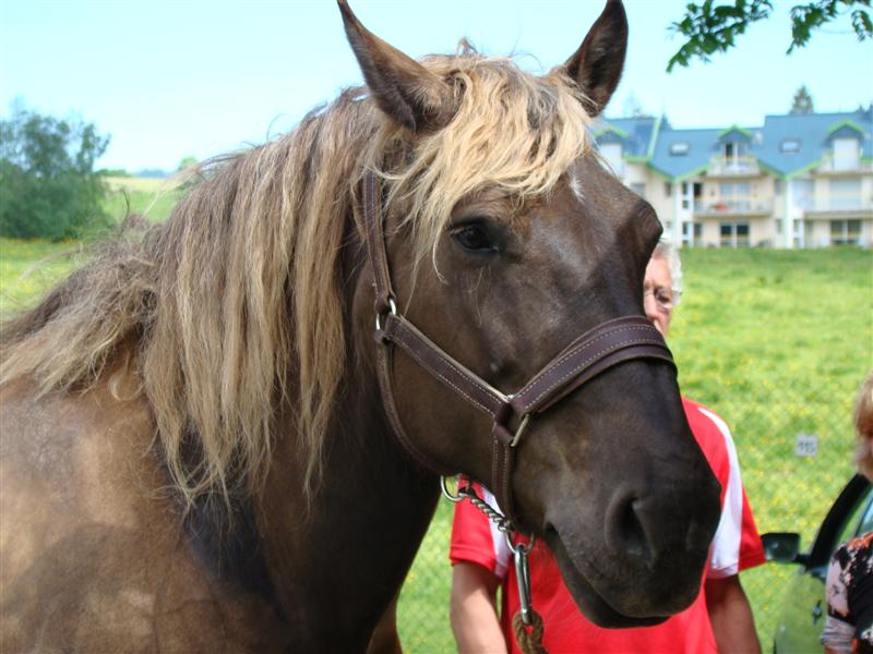 DSC01693 (Medium).JPG