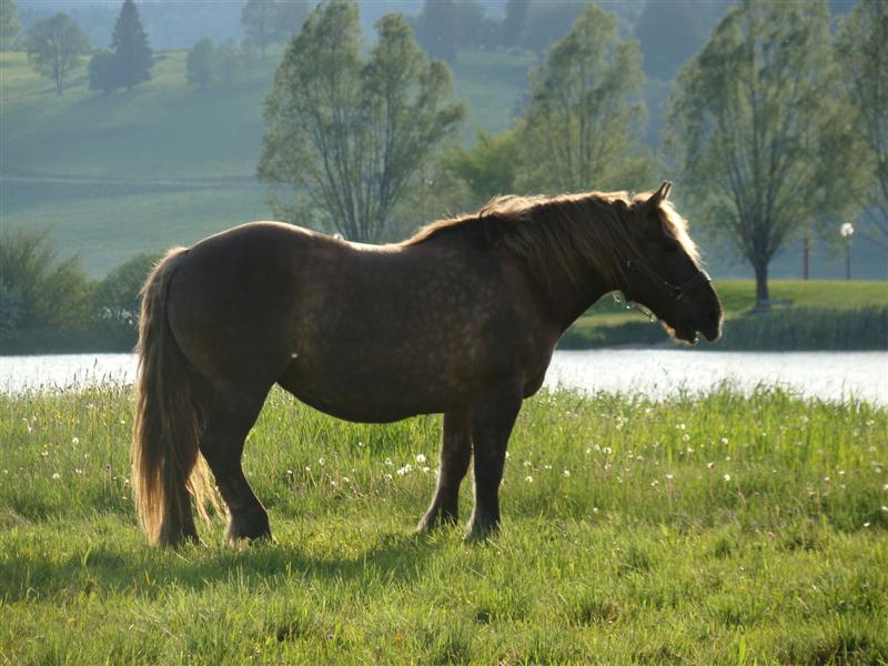 DSC01701 (Medium).JPG