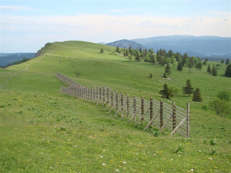 DSC01764 (Medium).JPG