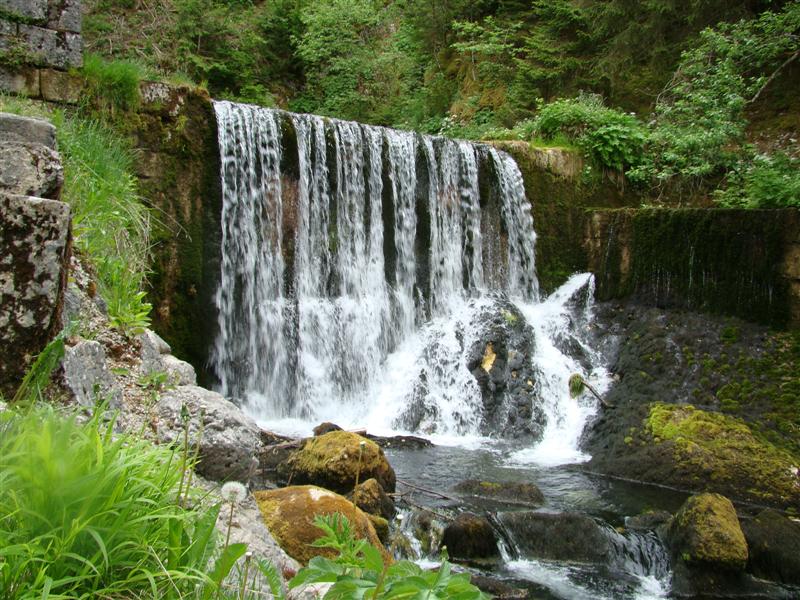 DSC01577 (Medium).JPG