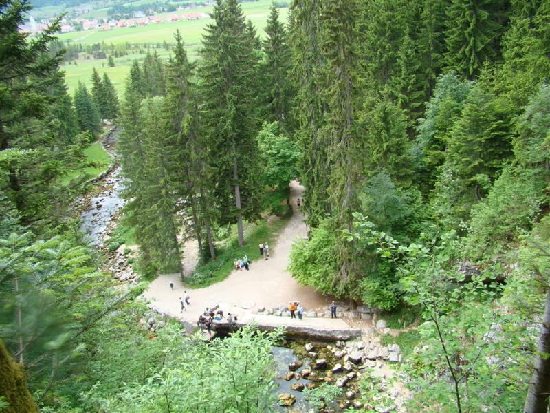 DSC01605 (Medium).JPG