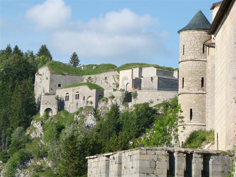 DSC01975 (Medium).JPG