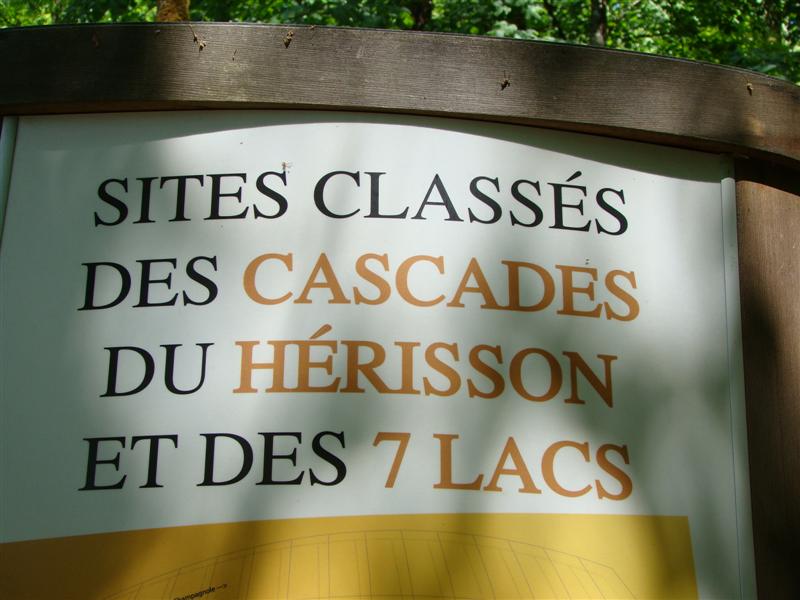 DSC02019 (Medium).JPG