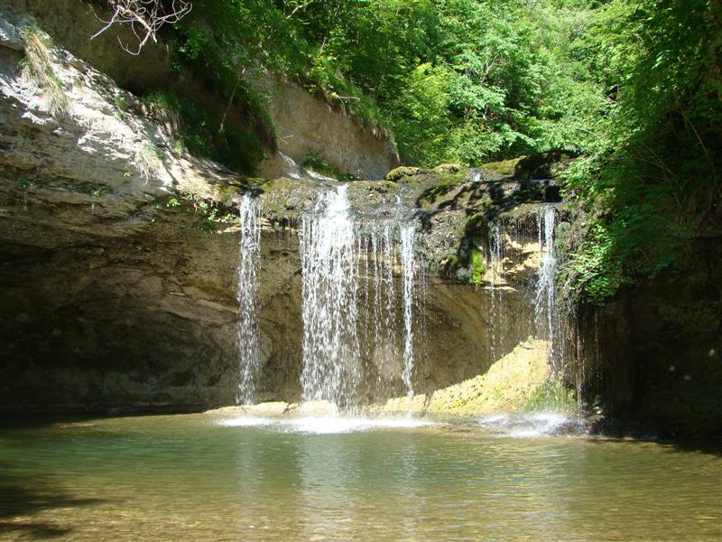 DSC02050 (Medium).JPG