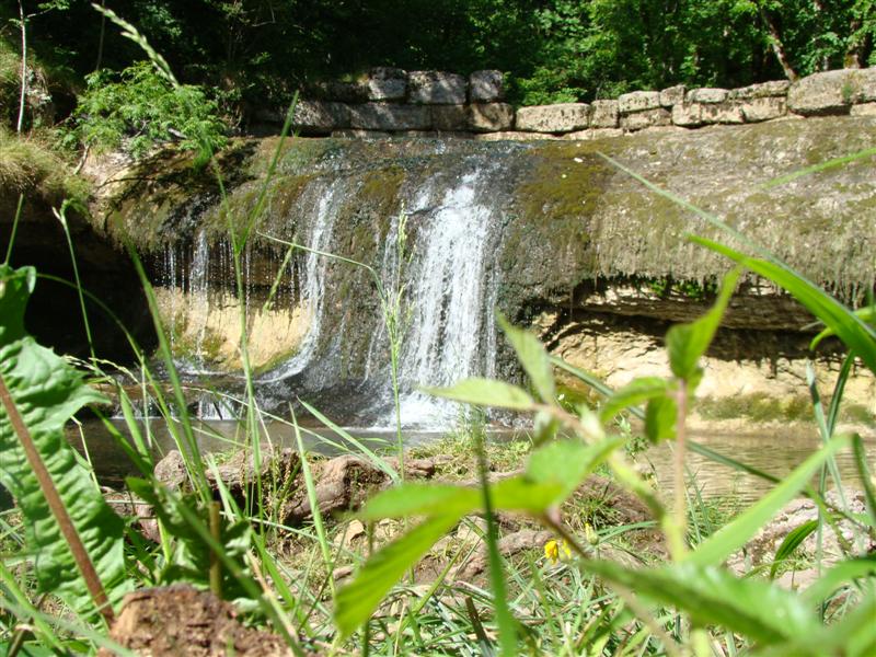 DSC02074 (Medium).JPG