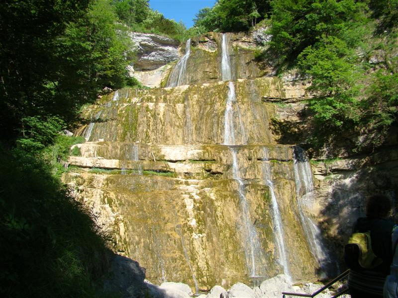 DSC02078 (Medium).JPG