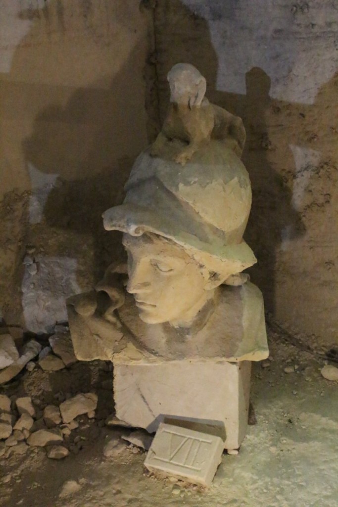 IMG_7365.JPG