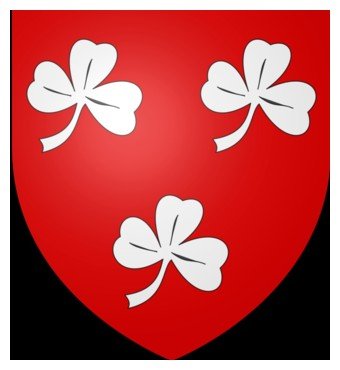 Buzançais blason.jpg