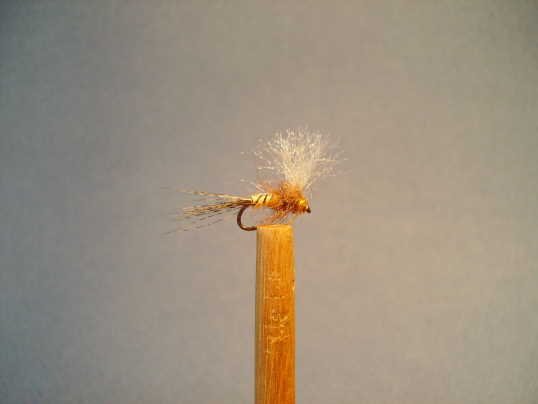 Mes mouches (13).jpg