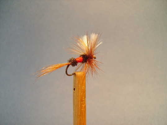 Mes mouches (16).jpg