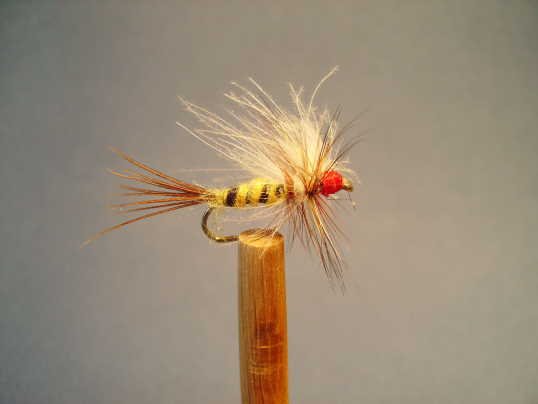 Mes mouches (22).jpg