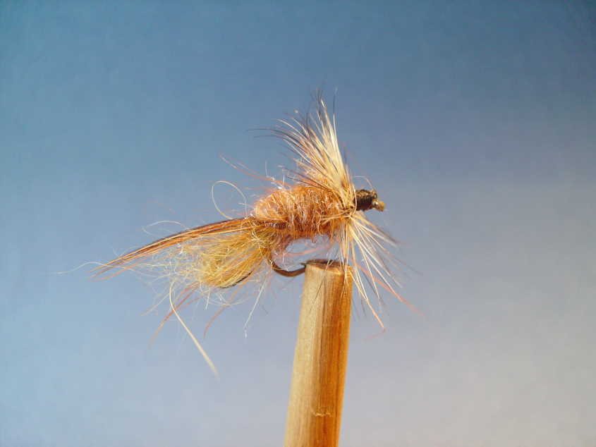 Mes mouches (68).jpg