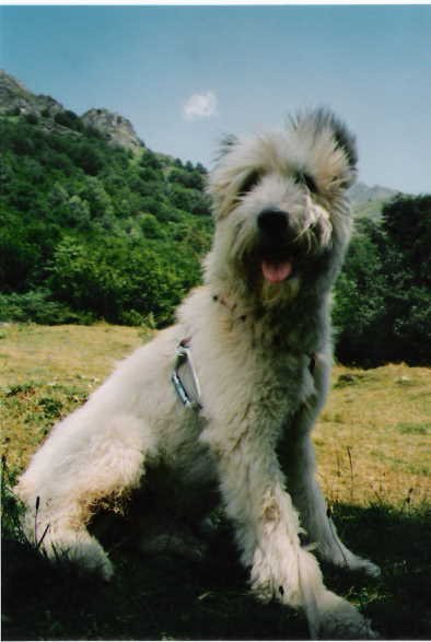 Montée au Port du Marterat