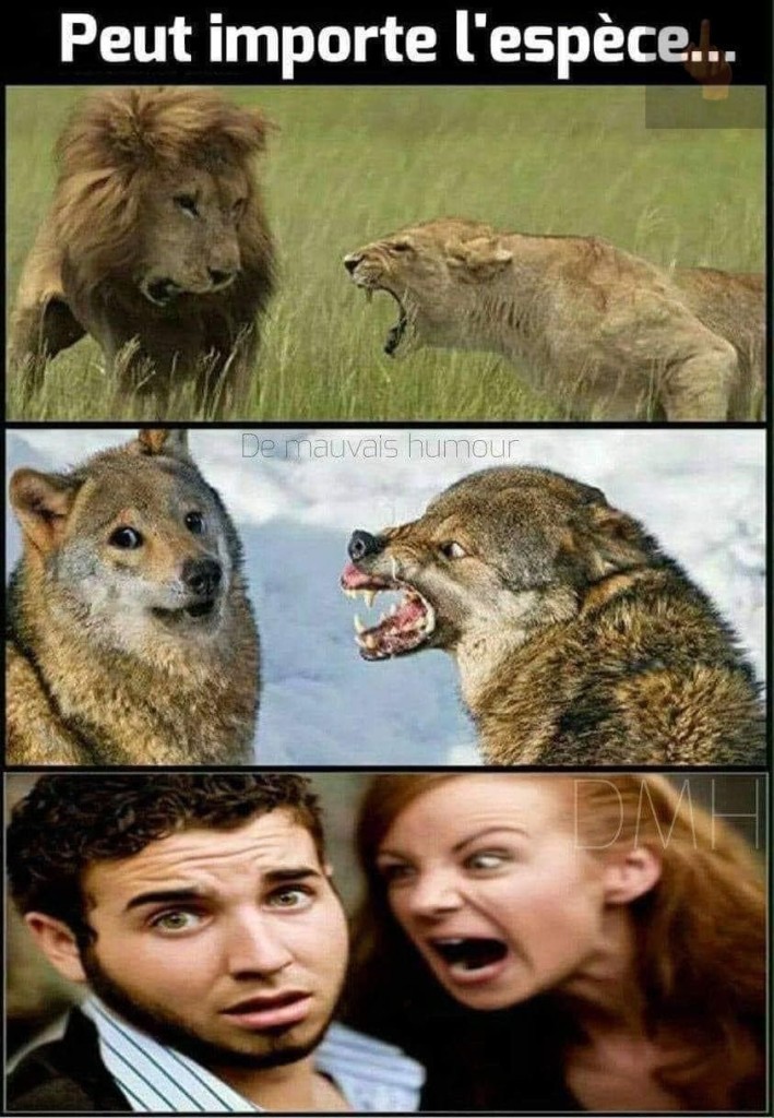 468326125_987125906793229_7623267200585790563_n.jpg