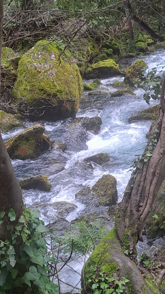 20250128_134040.jpg