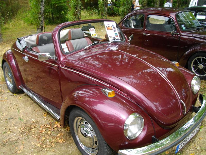 IMGP0809 (Medium).JPG