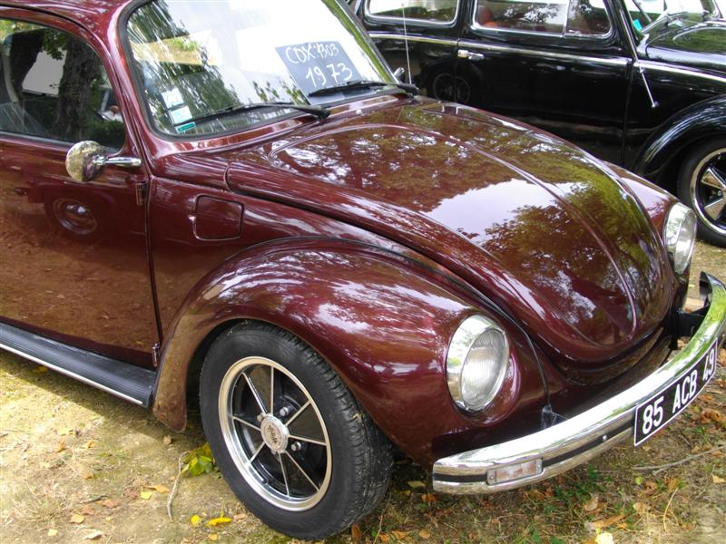 IMGP0815 (Medium).JPG