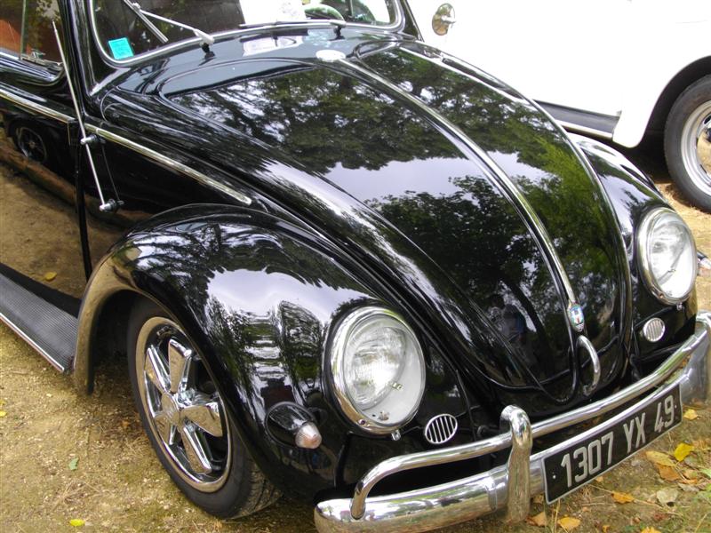 IMGP0816 (Medium).JPG