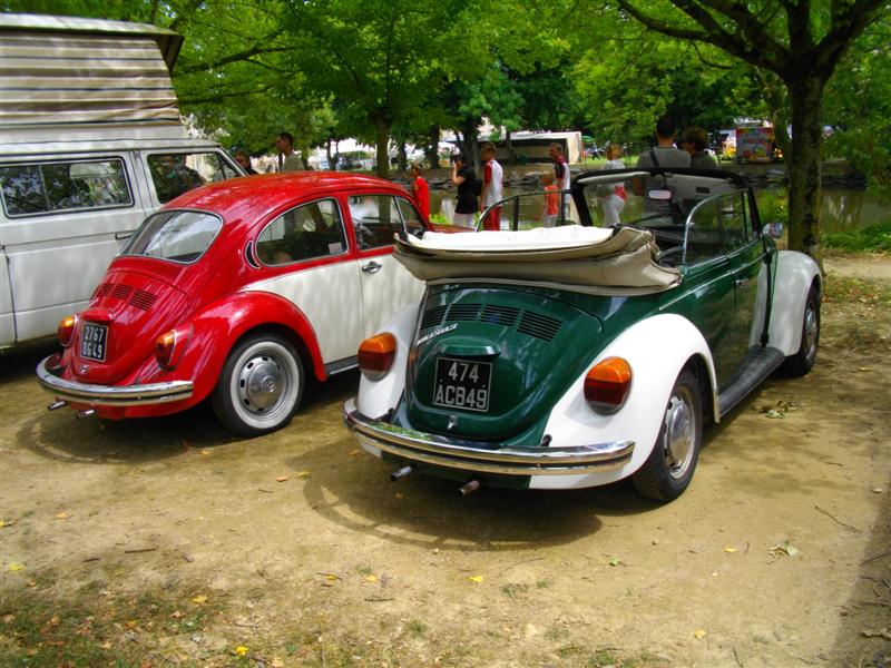 IMGP0819 (Medium).JPG