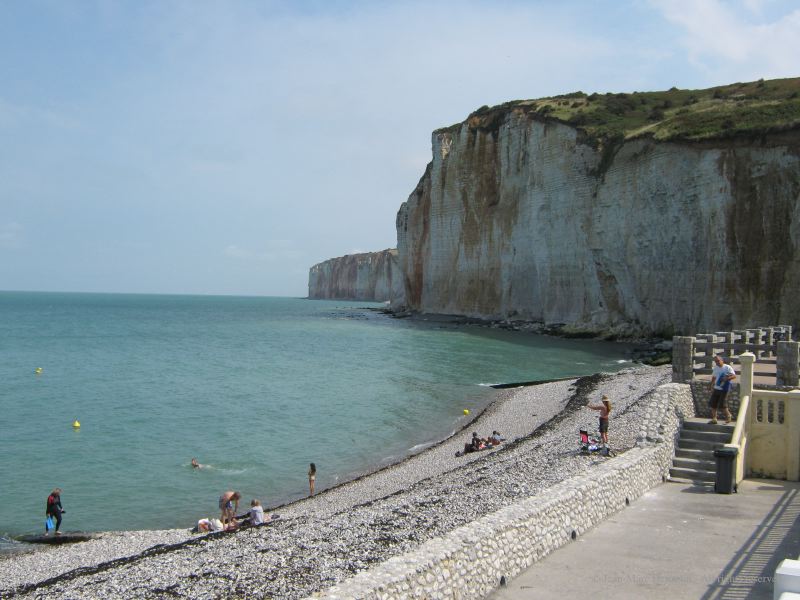 Le hareng n'est plus très loin ...