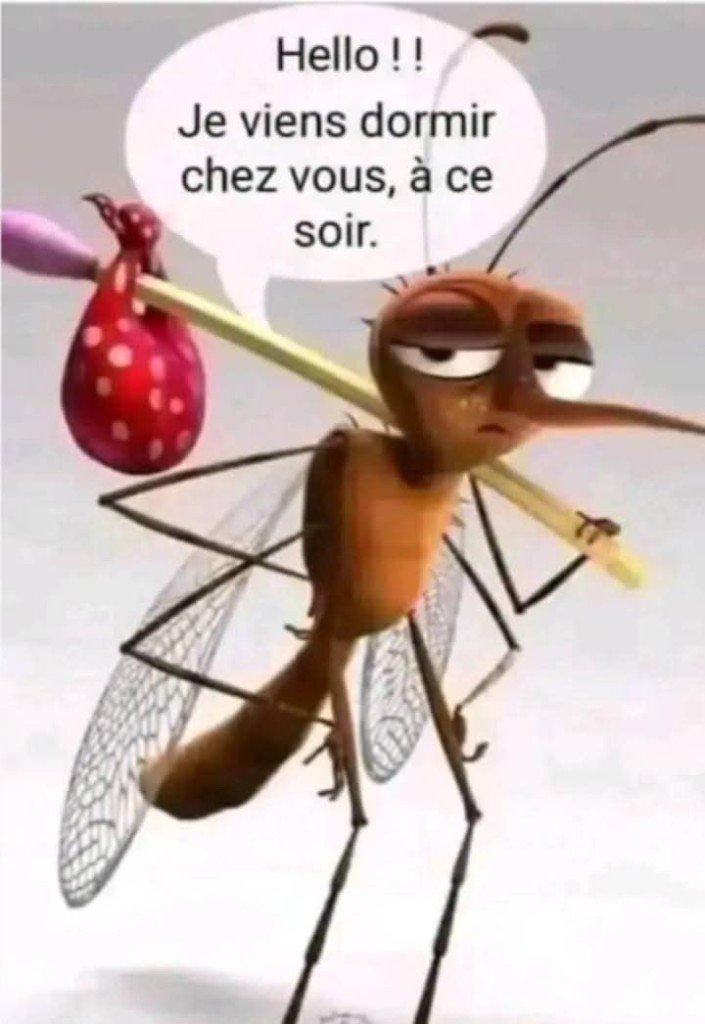 att.Rw5T-0xDt-zJQQLMWIzamwLSopUGWYB42ucfTGvbmEM.jpeg