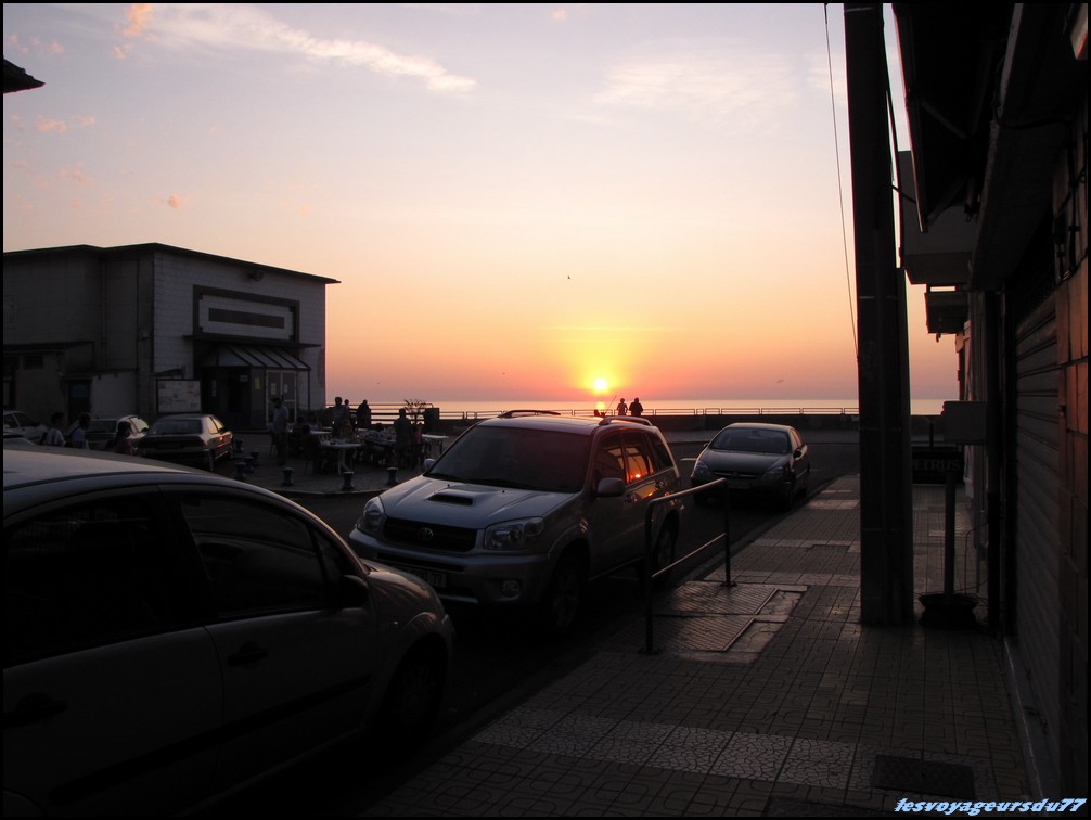 IMG_0341 [1000X750].JPG