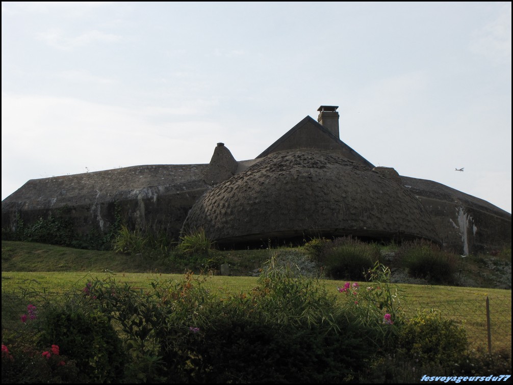 IMG_0366 [1000X750].JPG