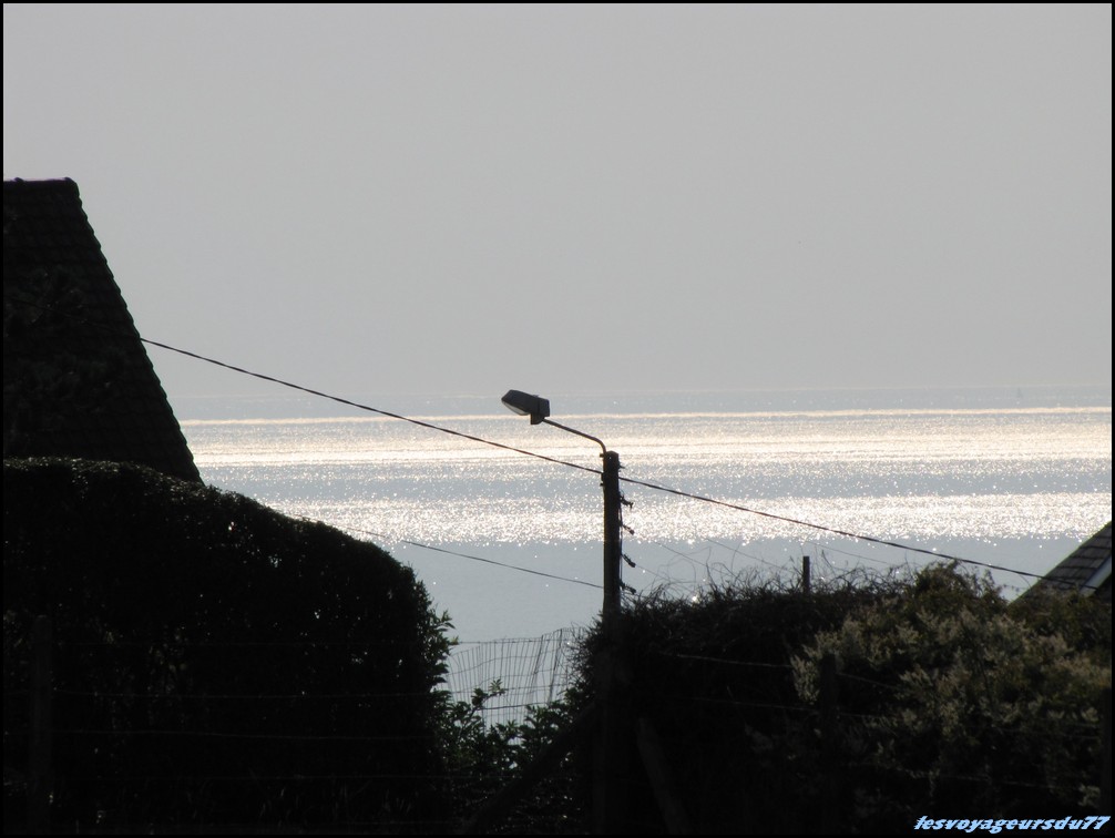 IMG_0292 [1000X750].JPG