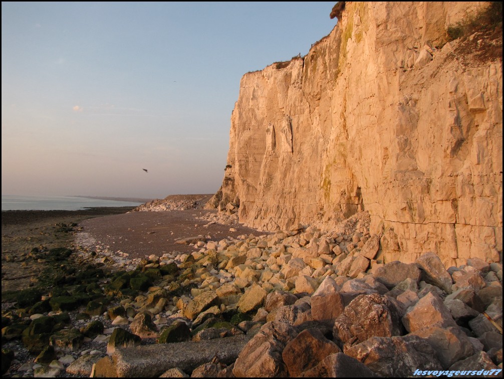 IMG_0332 [1000X750].JPG